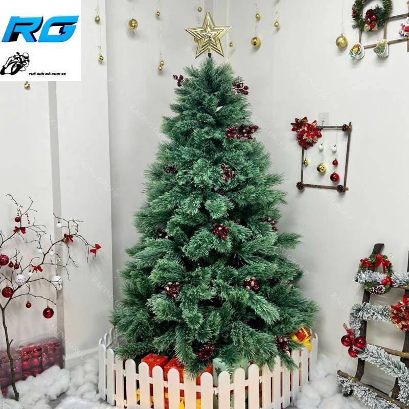 Dịch Vụ Cho Thuê Cây Thông Noel Tại Vũng Tàu. Ảnh 4